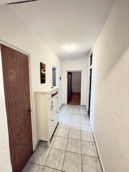 Teiul Doamnei / Apartament 2 camere decomandat -  Str. Cristea Mateescu